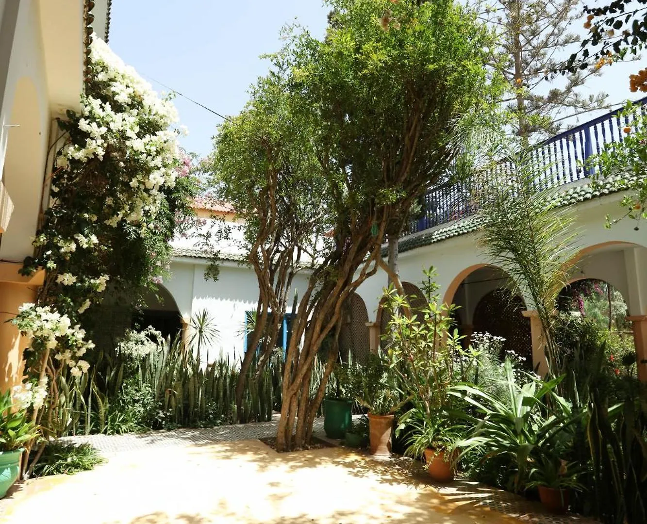 Chambres Tradition Riad Isla 索维拉